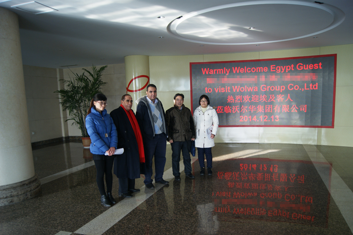 埃及客戶訪問沃爾華集團